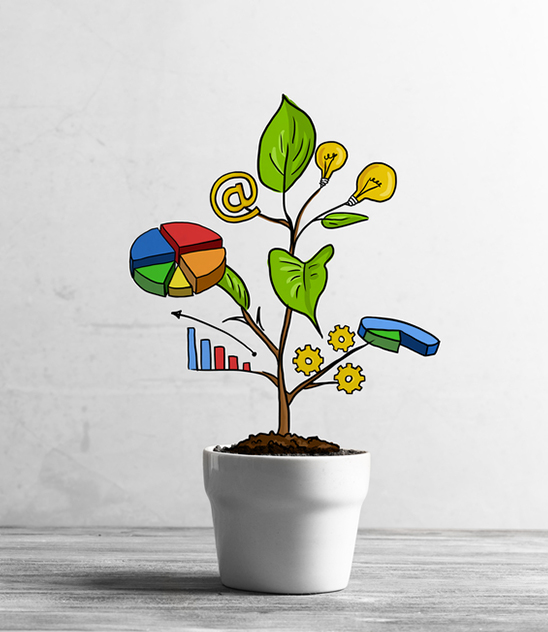 service-details-inner-img